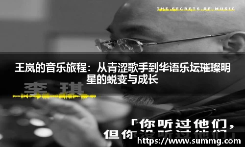 王岚的音乐旅程：从青涩歌手到华语乐坛璀璨明星的蜕变与成长